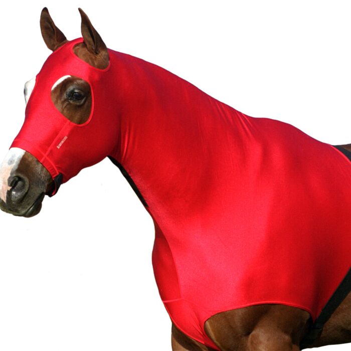 Horse Hoods Thumbnail