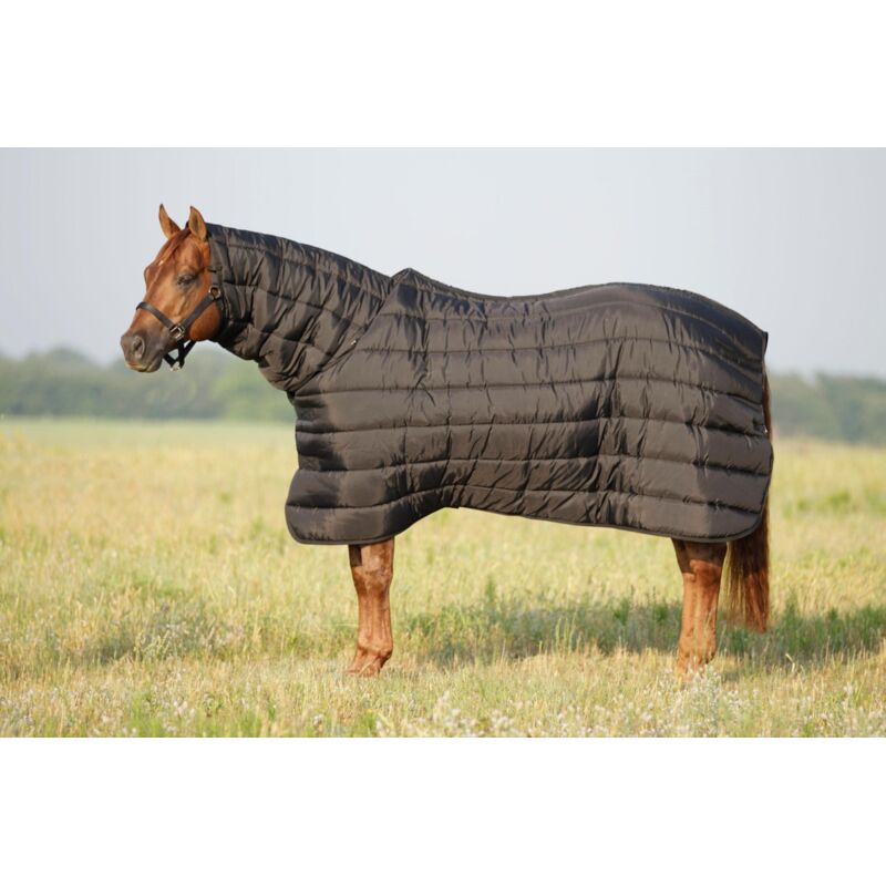 FUTURITY SHOW COOLER Thumbnail