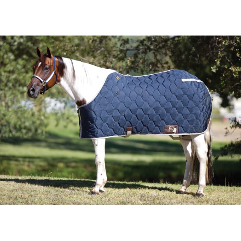 Big D All American Blanket Thumbnail