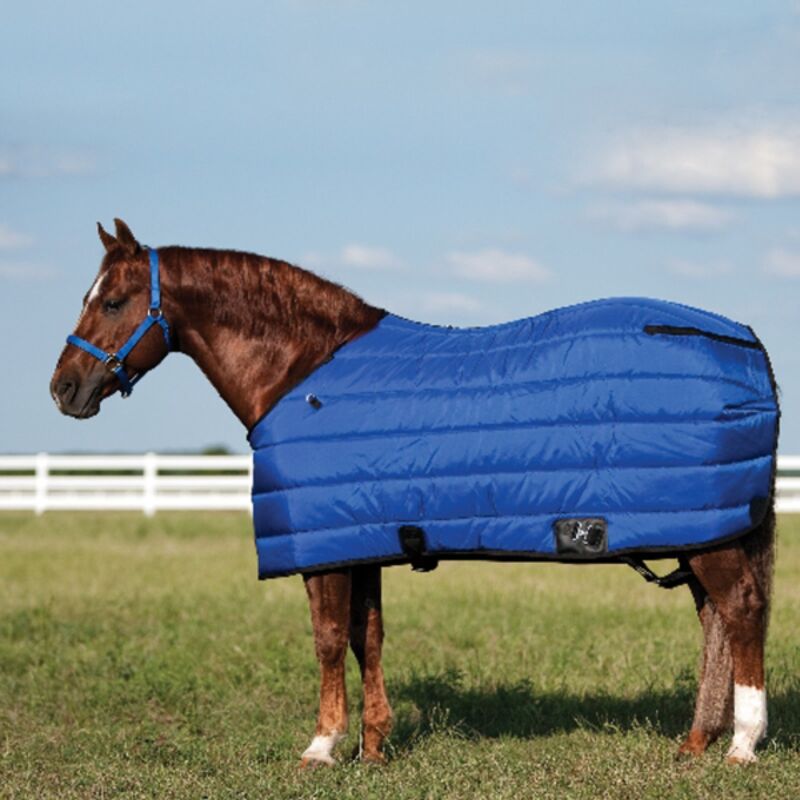 FUTURITY 420D STABLE BLANKET Thumbnail